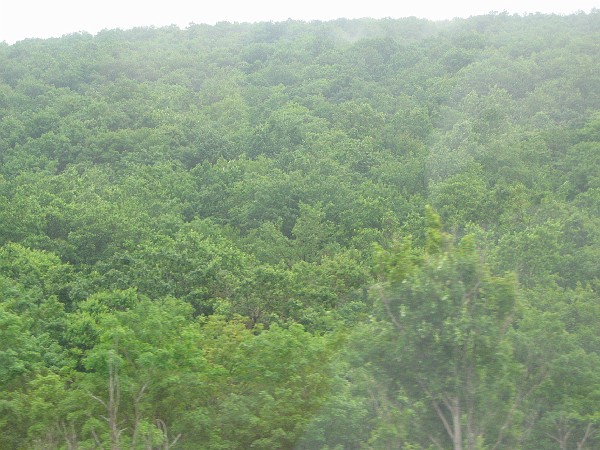 vacation 2006 002.jpg